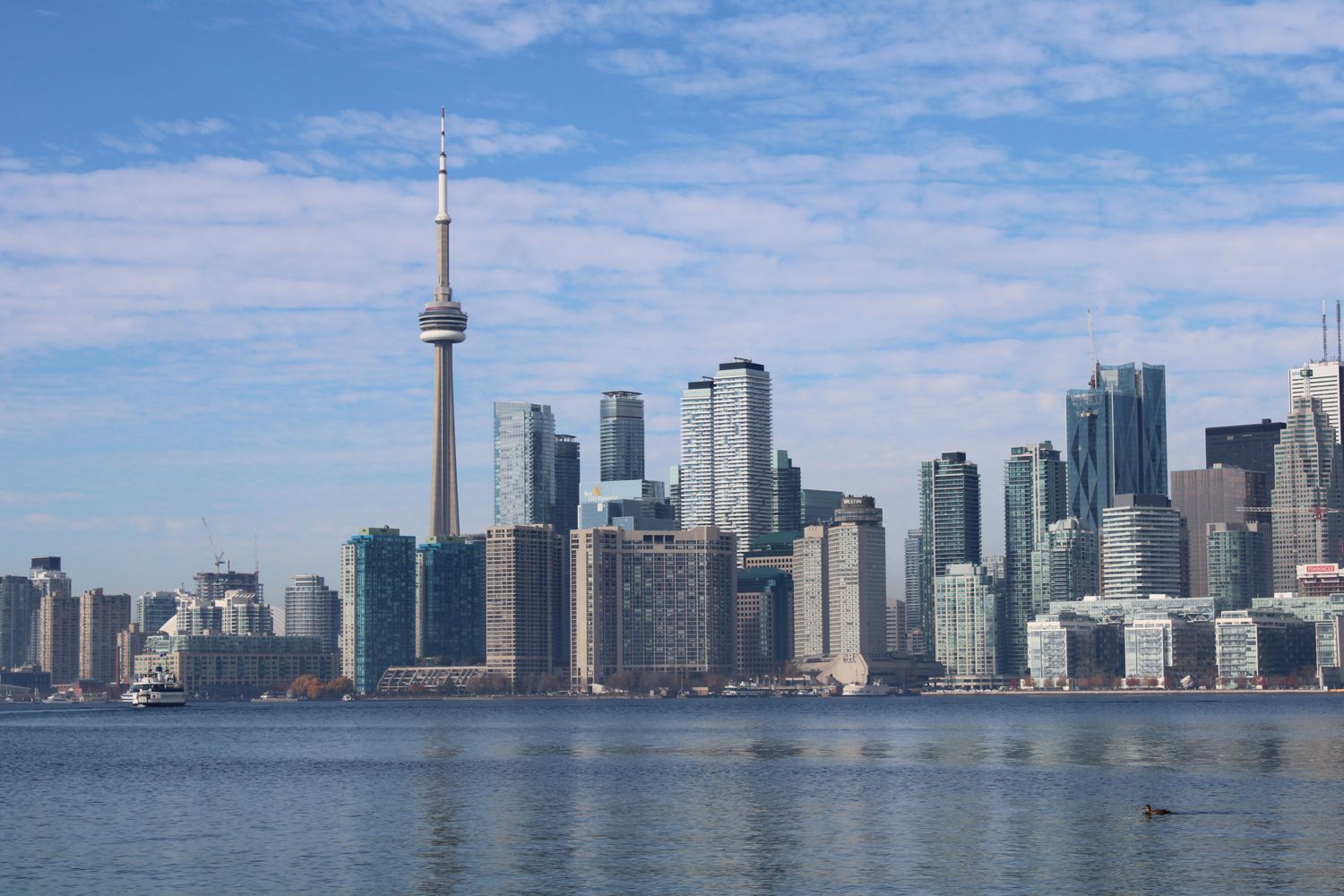 The Toronto skyline and CN Tower seen across the water