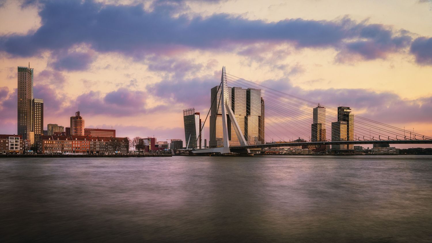 The Erasmus Bridge and the Rotterdam skyline at twilight