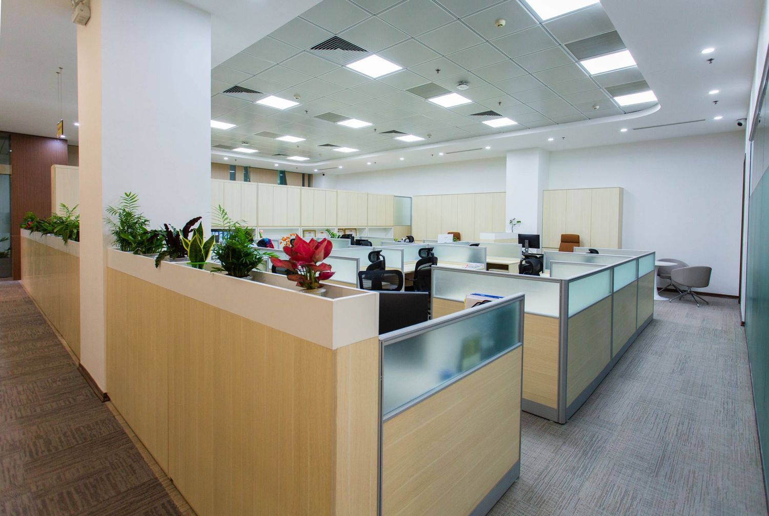 An open-plan office with desks and planting